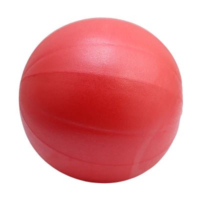 Ballon de Gym : Votre Allié Fitness Polyvalent et Anti - éclatement - Sportsgear - Fit